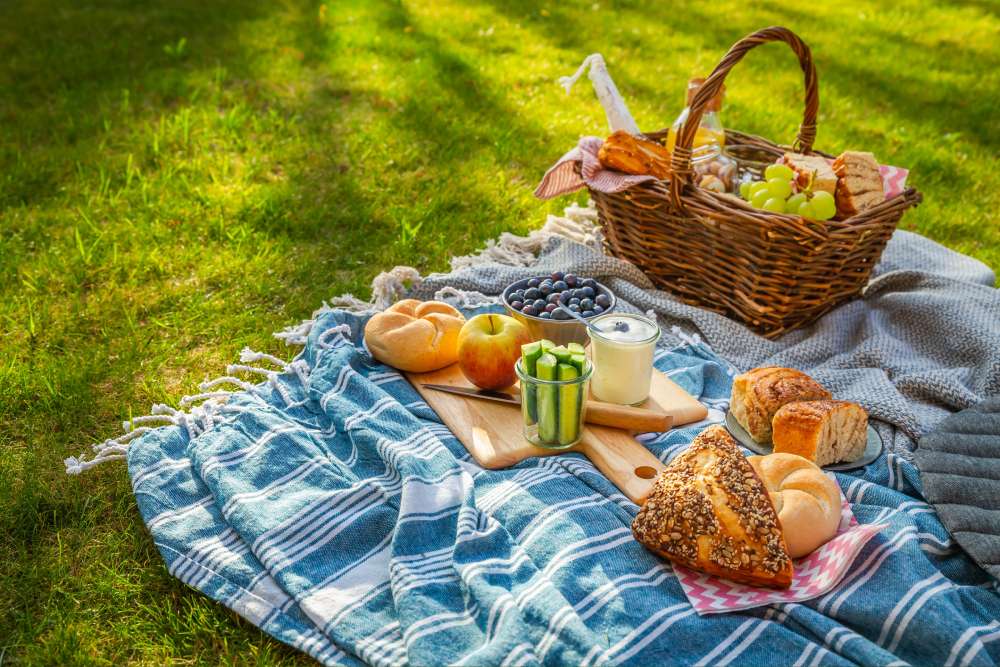 piknik örtüsü üzerinde piknik malzemeleri