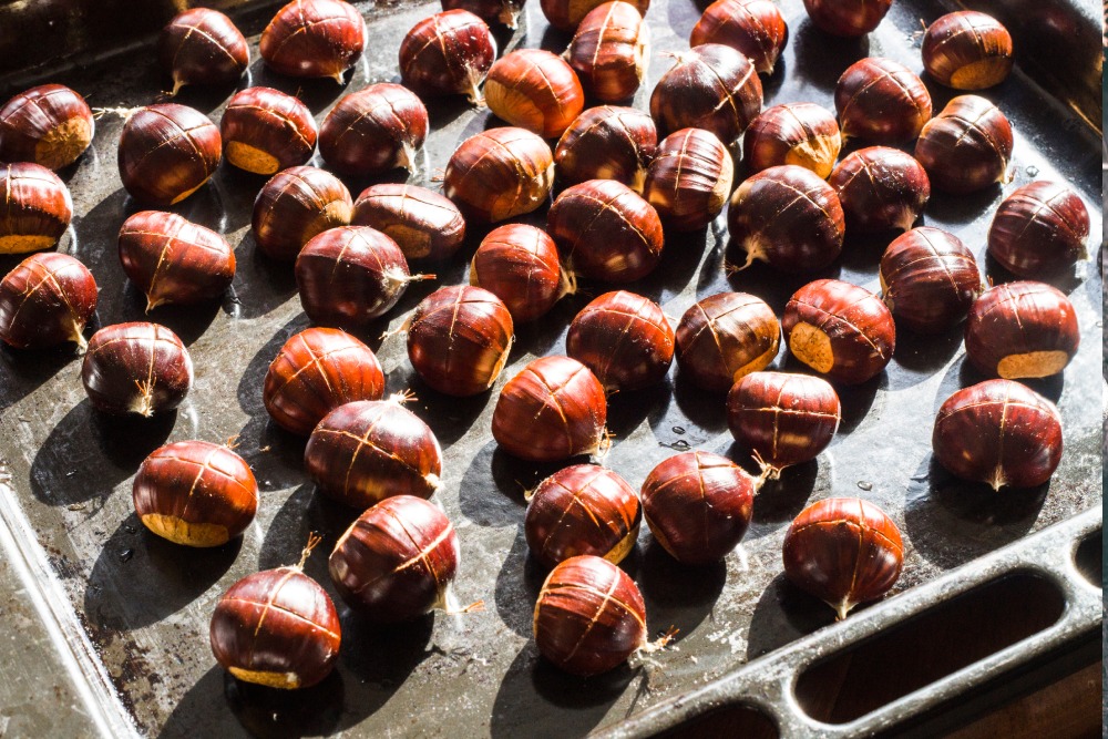 Fırından kestane yapımı için kabuğu çizilmiş kestaneler, fırında pişirmeye hazır şekilde bir fırın tepsisine dizilmiş.
