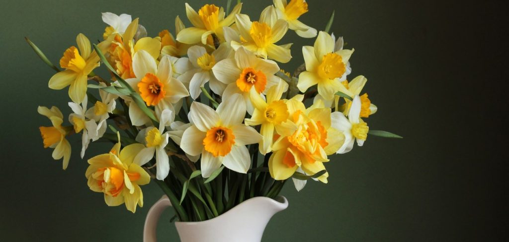 Fikirler ve İpuçları